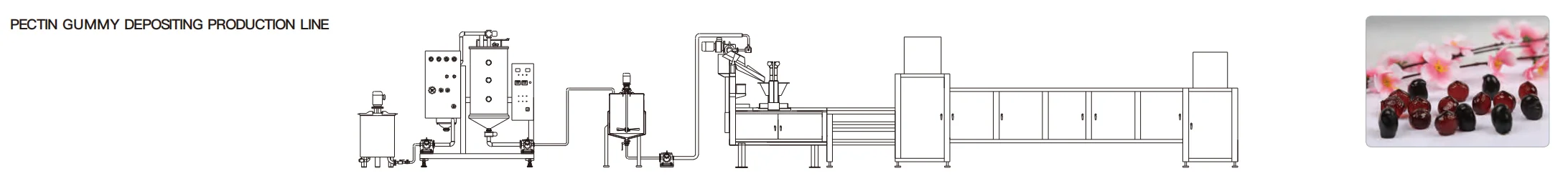Pectin Gummy Depositing Line Diagram