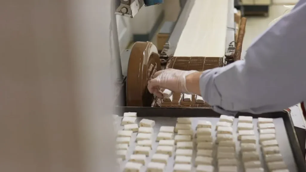 How to Start a Candy Business: Equipment, Layout and Cost Breakdown 1