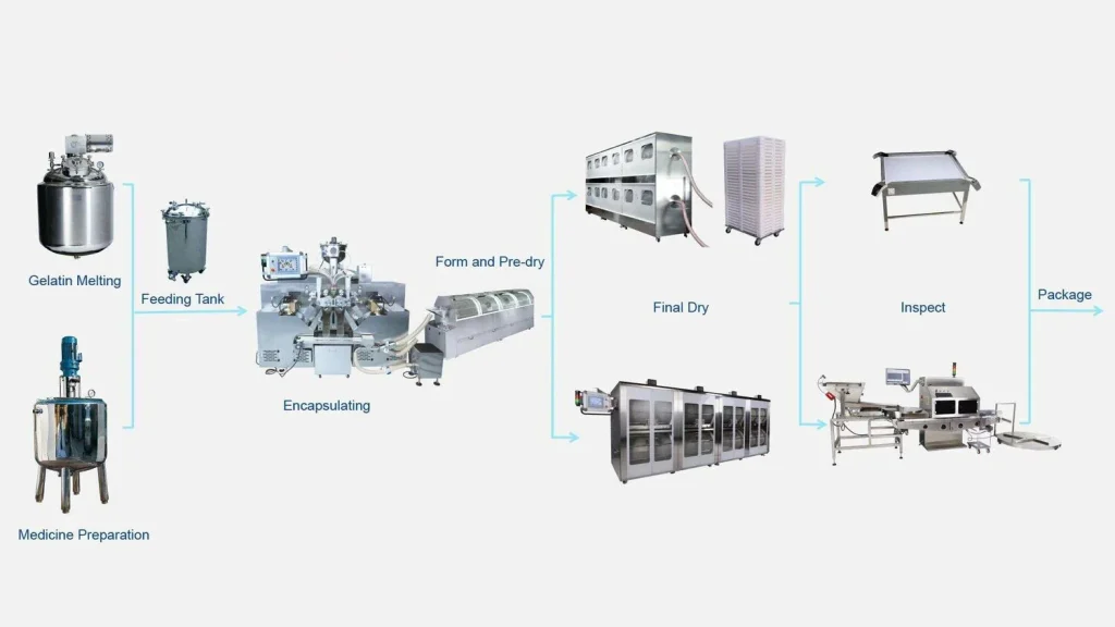 Softgel capsule production process steps